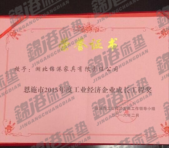 2015年度成長工程獎