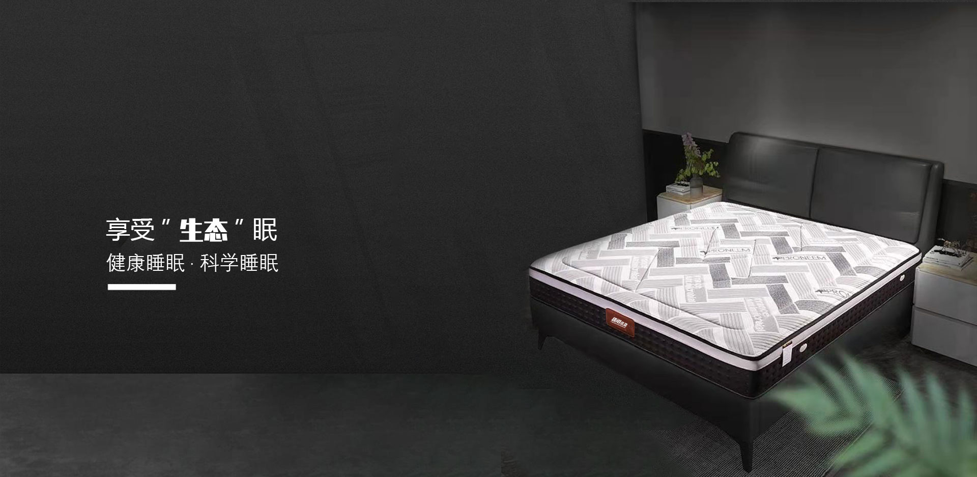 錦港床墊家喲家用款